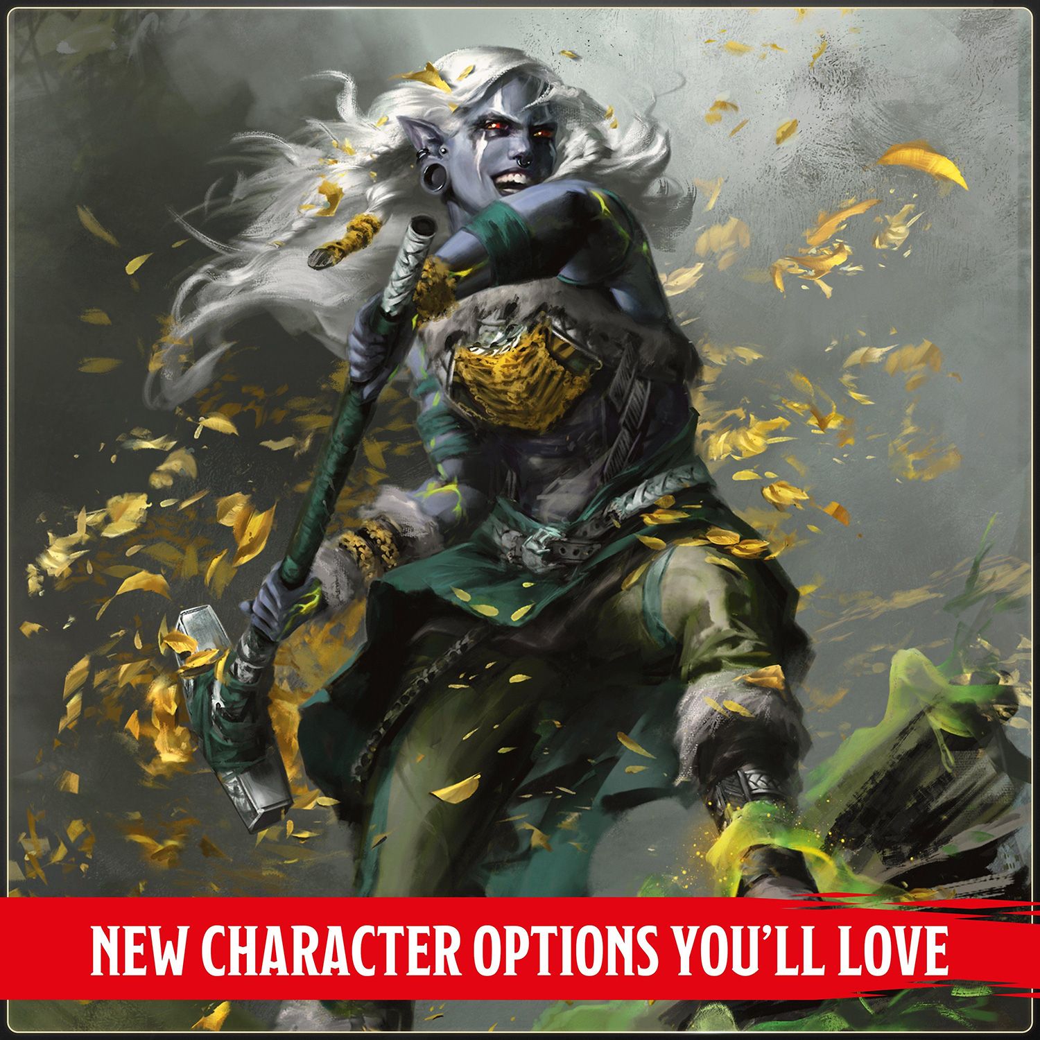 Dungeons & Dragons 2024 Player's Handbook 5th Limited Edition