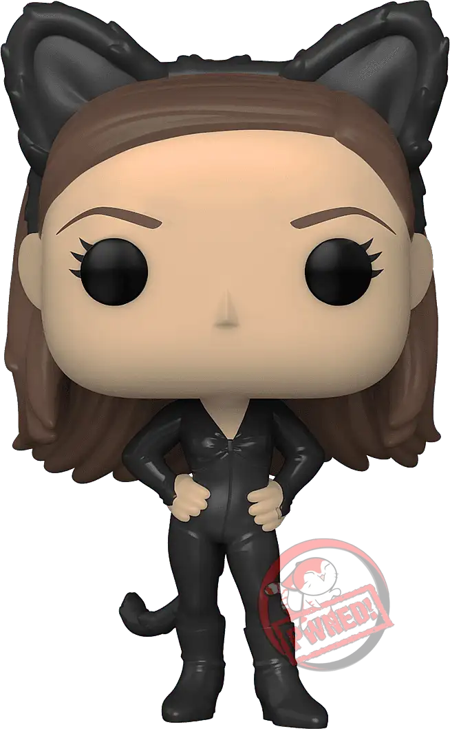 Funko Pop! Monica En Catwoman – Friends – Figurine Vinyle 9 Cm – Cadeau Collectionneur