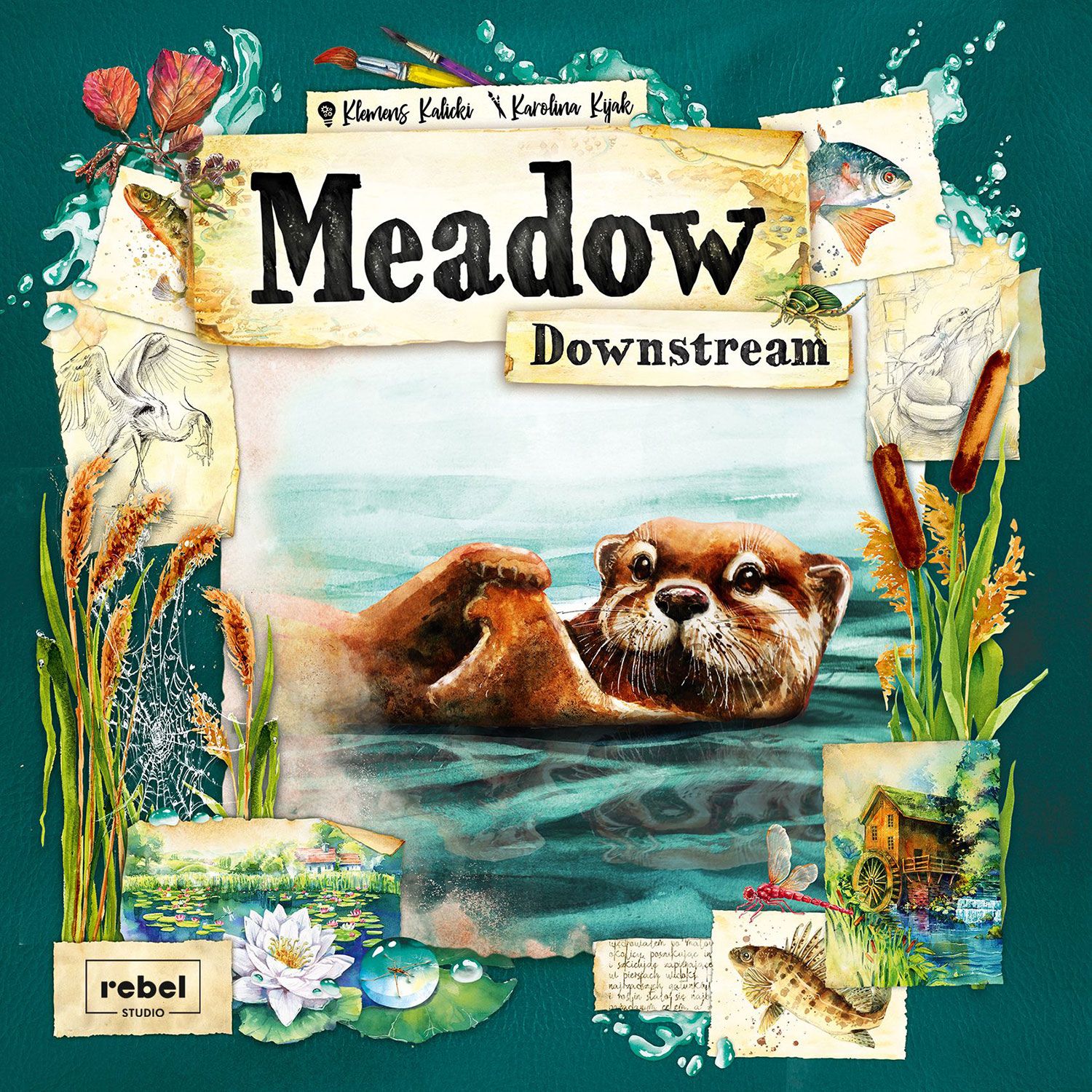 meadow_downstream_expansion.jpg Meadow: Downstream Expansion