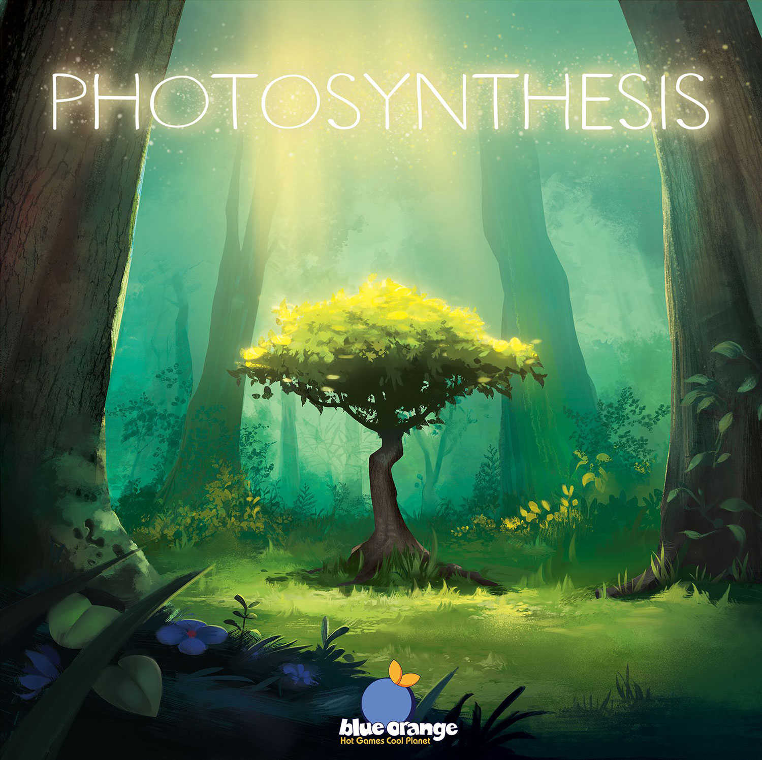 photosynthesis.jpg Photosynthesis
