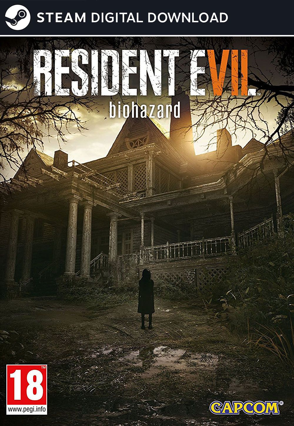 resident_evil_7_biohazard_digital_code_pc.jpg