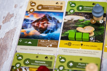 Earth: Abundance Expansion