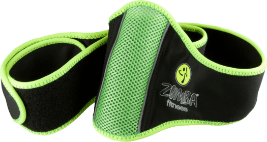 nintendo_wii_zumba_fitness_belt_wii