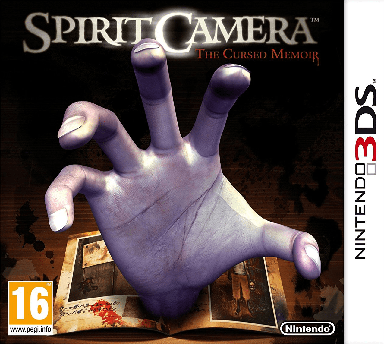 spirit_camera_the_cursed_memoir_3ds.png